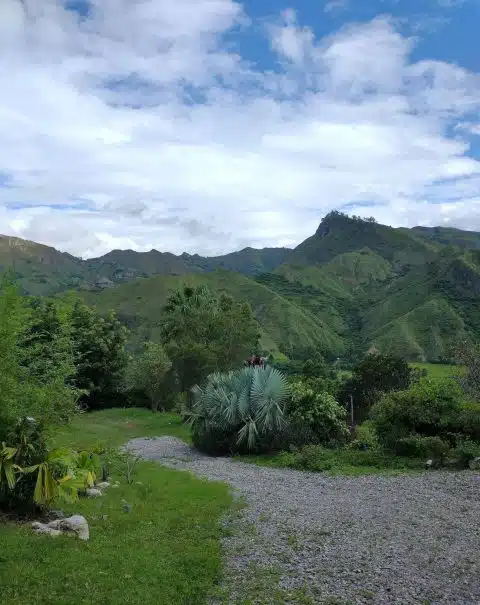 Cabaña Montaña View